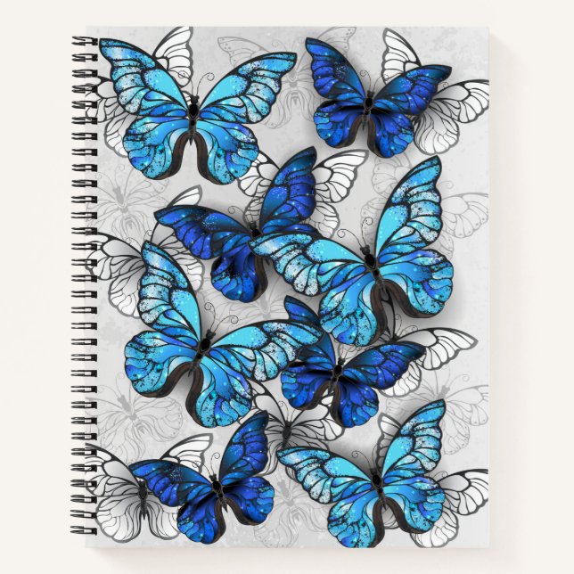 Cuaderno Composición de las mariposas blancas y azules (Anverso)