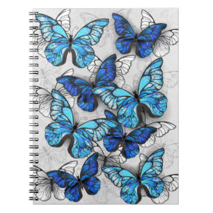 Cuaderno Composición de las mariposas blancas y azules