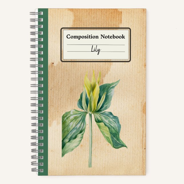 Cuaderno Composición personalizada de Robin Wake dibujada a (Anverso)