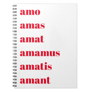 Cuaderno Comunicado de Prensa Latino, Amo Amas Amat, Tema E