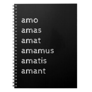 Cuaderno Comunicado latino, Amo amas amat