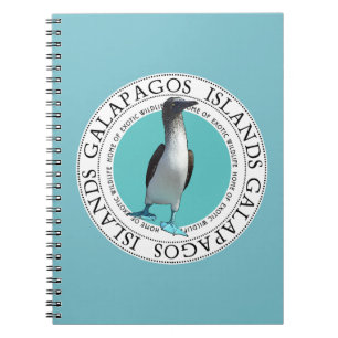Cuaderno con base azul del bobo