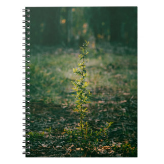Cuaderno con fotografía de naturaleza