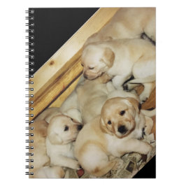 Cuaderno con la foto de los perritos amarillos del