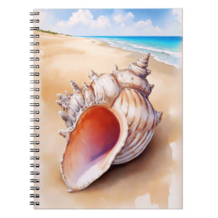 Cuaderno Concha acuática en la playa