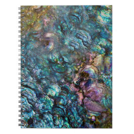 Cuaderno Concha de Abulón Iridescente Arcoíris