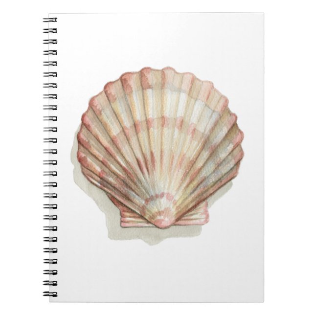 Cuaderno Concha de mar rosa y crema (Frente)