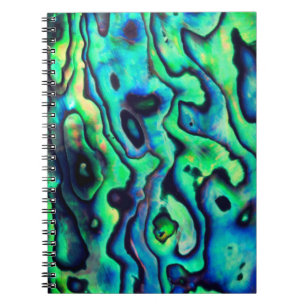 Cuaderno Concha de pana azul verde