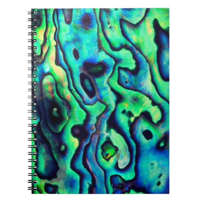 Cuaderno Concha de pana azul verde (Frente)