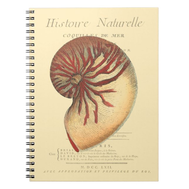 Cuaderno Concha roja vintage (Frente)