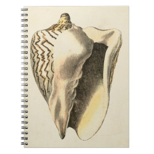 Cuaderno Concha Sepia Vintage