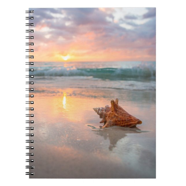 Cuaderno Concha Shell en la playa el | Jamaica (Frente)