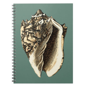 Cuaderno Concha verde azulada