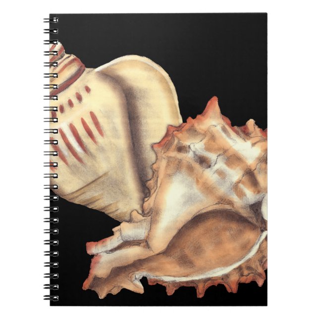 Cuaderno Conchas artísticas (Frente)
