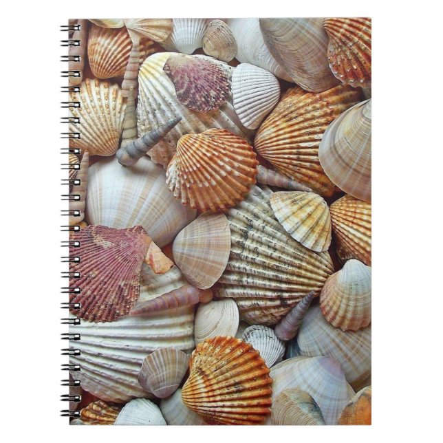 Cuaderno Conchas de mar (Frente)