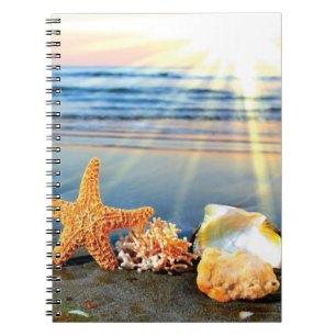 Cuaderno conchas de mar y estrellas de mar en la playa