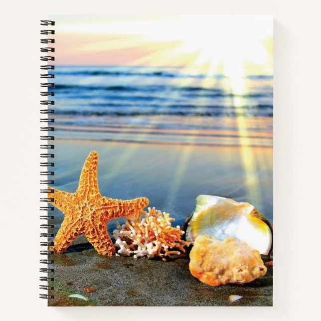 Cuaderno conchas de mar y estrellas de mar en la playa (Anverso)