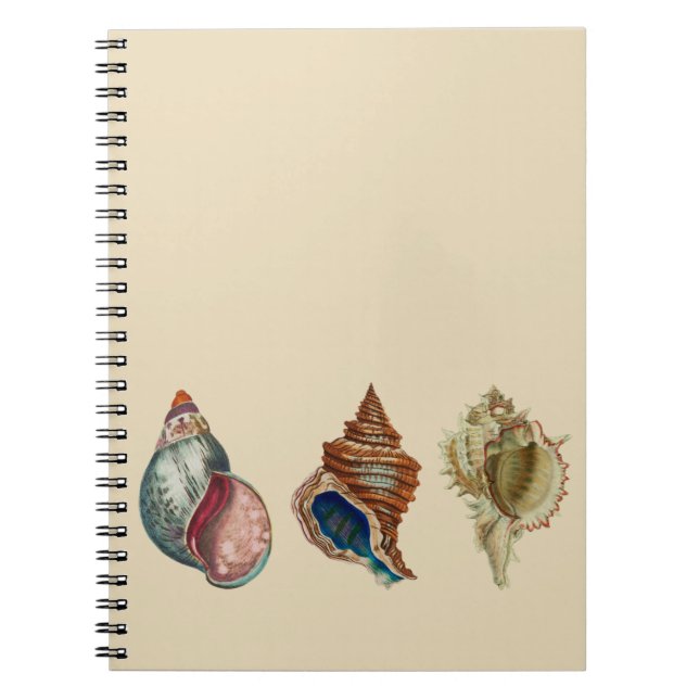 Cuaderno Conchas de ntage (Frente)