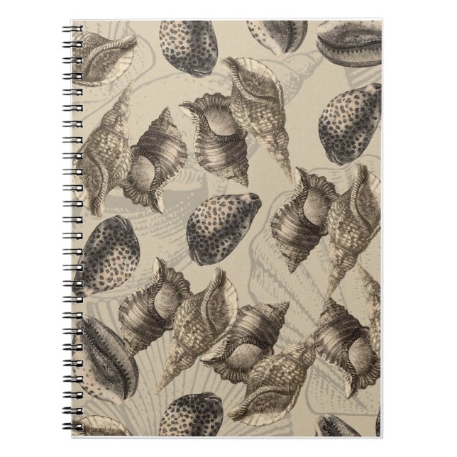 Cuaderno conchas marinas (Frente)