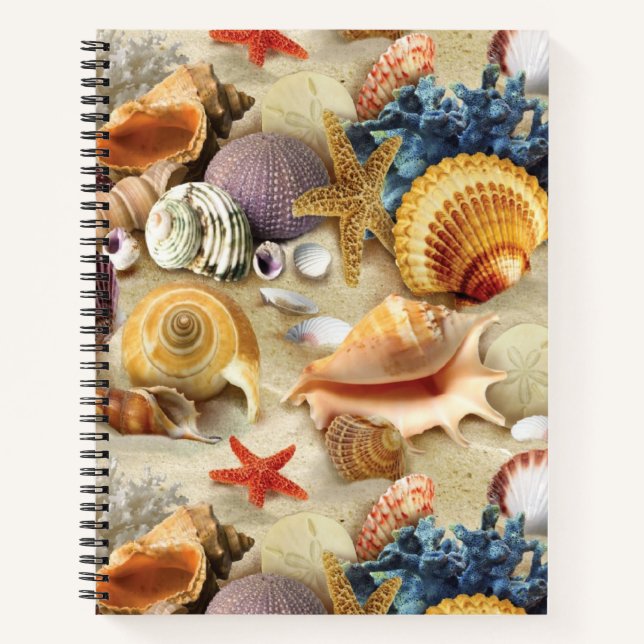 Cuaderno conchas marinas en la playa (Anverso)