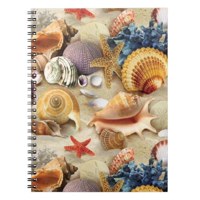 Cuaderno conchas marinas en la playa (Frente)
