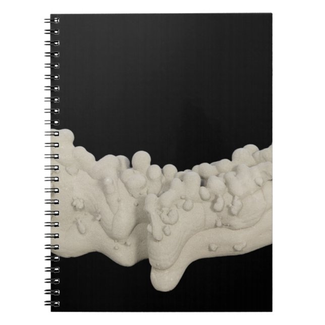 Cuaderno Concreción de la arcilla (Frente)