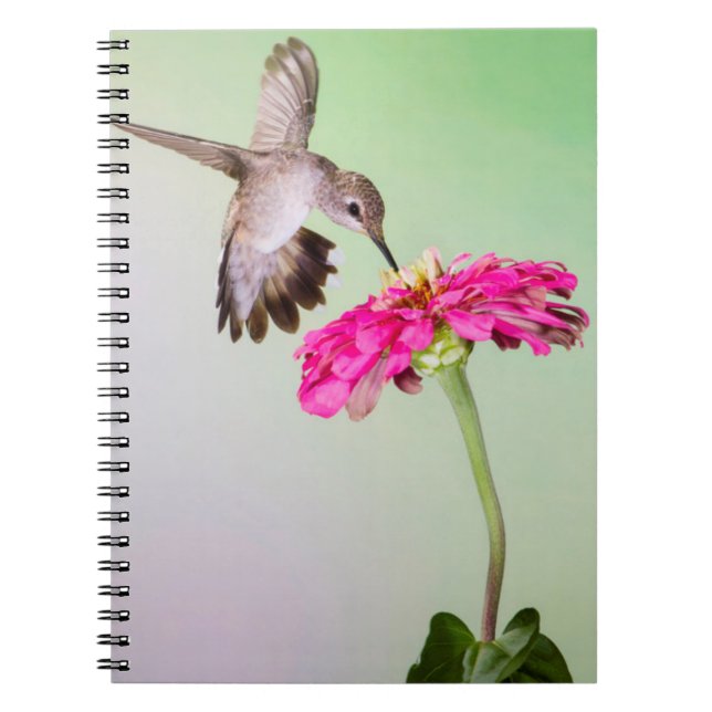 Cuaderno Condado de Jeff Davis, Texas (Frente)