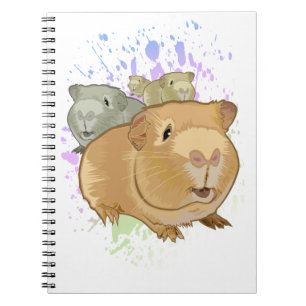 Cuaderno Conejillos de Indias