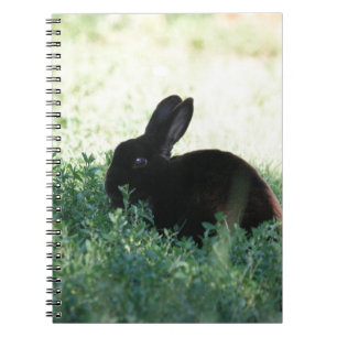 Cuaderno Conejito negro de Lil