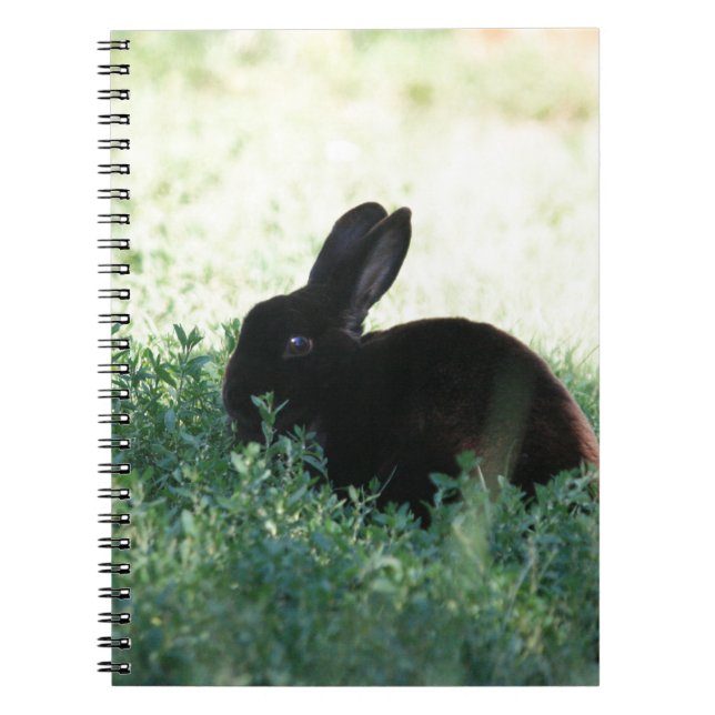 Cuaderno Conejito negro de Lil (Frente)