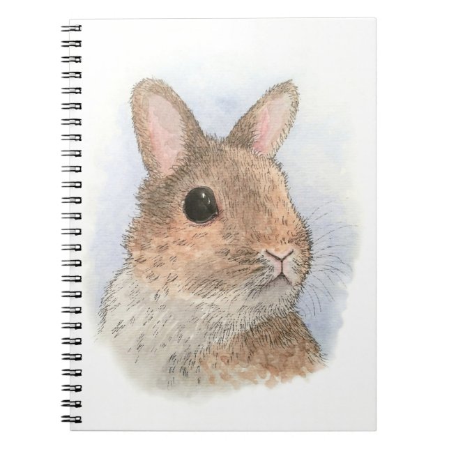 Cuaderno Conejo 62 (Frente)