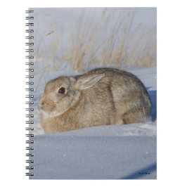 Cuaderno Conejo cola R5 en nieve