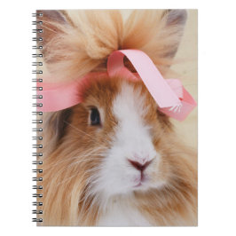 Cuaderno Conejo conejo conejito fluffy Lionhead