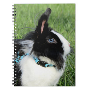 Cuaderno Conejo conejo conejo conejo conejo blanco y negro 