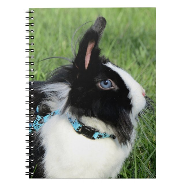 Cuaderno Conejo conejo conejo conejo conejo blanco y negro  (Frente)