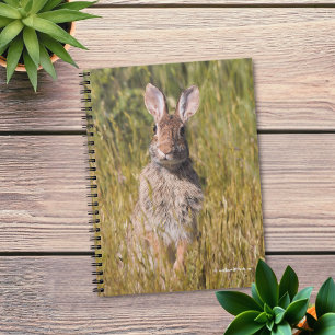 Cuaderno Conejo de cola de cola de cola dulce y curioso