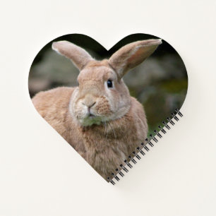 Cuaderno Conejo de jengibre con orejas grandes