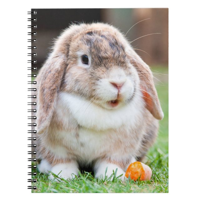 Cuaderno Conejo de orejas cortas (Frente)