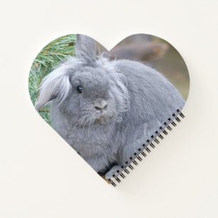Cuaderno Conejo gris liso