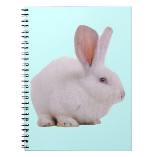 Cuaderno Conejo Kawaii Lindo (Frente)