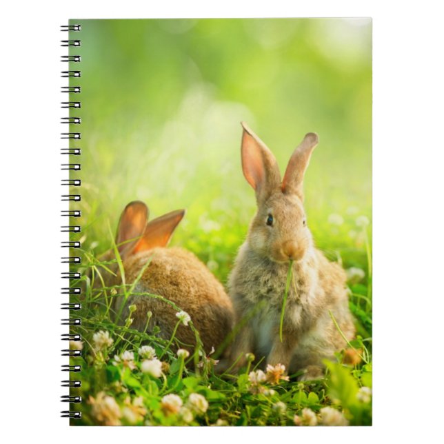 Cuaderno Conejos de Pascua (Frente)