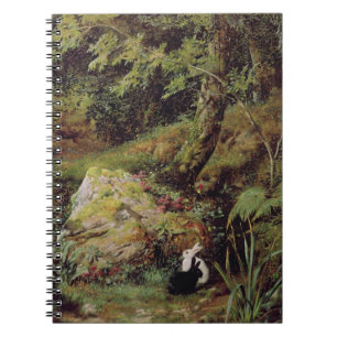 Cuaderno Conejos perdidos