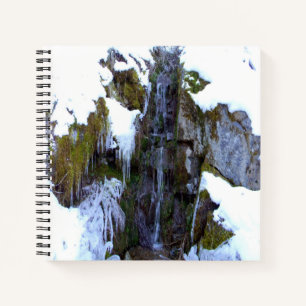 Cuaderno Congelado a tiempo......