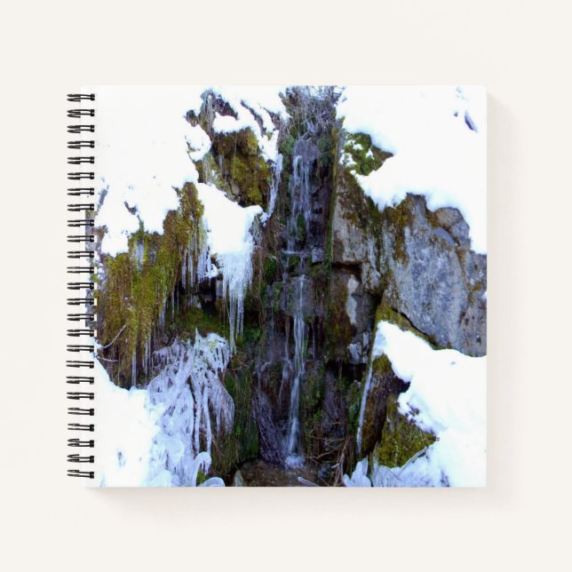 Cuaderno Congelado a tiempo...... (Anverso)