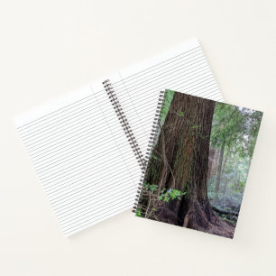 Cuaderno Coníferas Gigantes en un Bosque