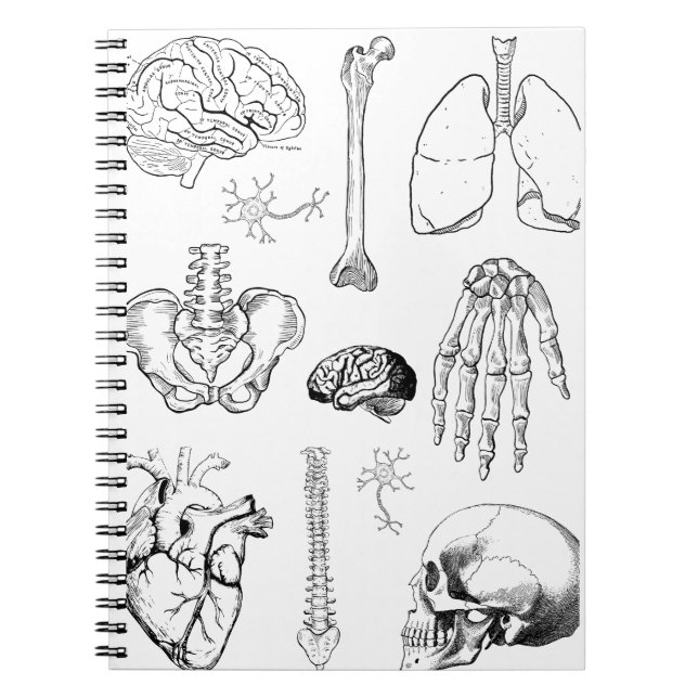 Cuaderno Conjunto de ilustraciones médicas vintage de anato (Frente)