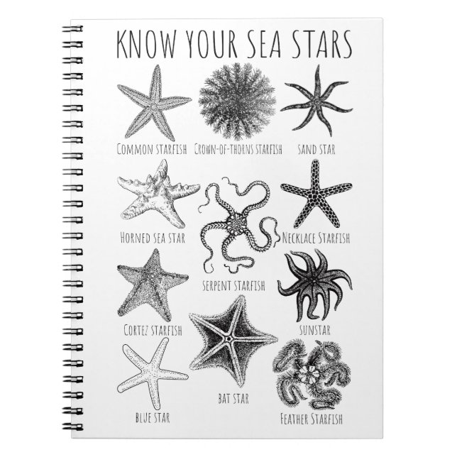 Cuaderno Conoce tus estrellas del mar - Grupos Starfish (Frente)