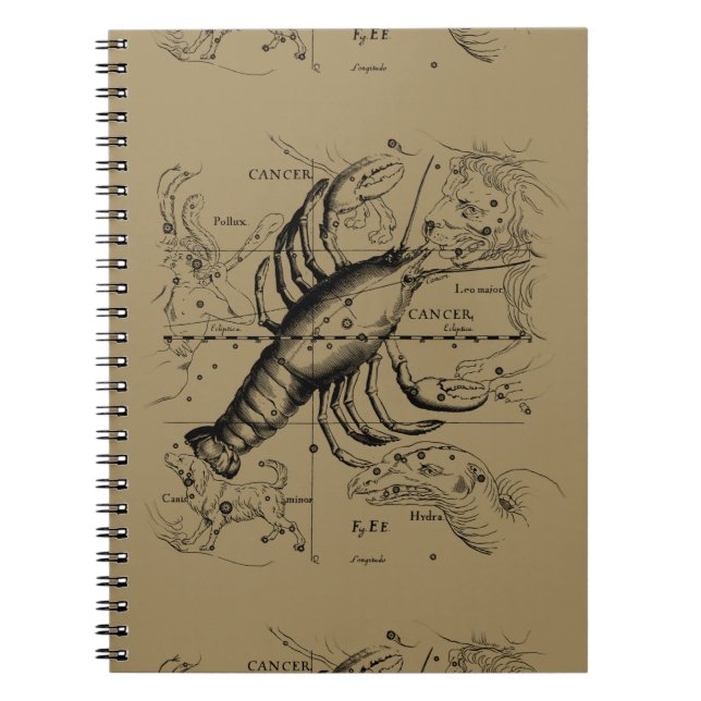 Cuaderno Constelación del cáncer Hevelius 1690 (Frente)
