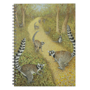 Cuaderno Contar cuentos
