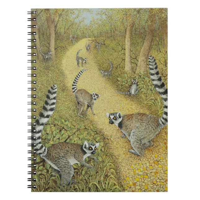 Cuaderno Contar cuentos (Frente)